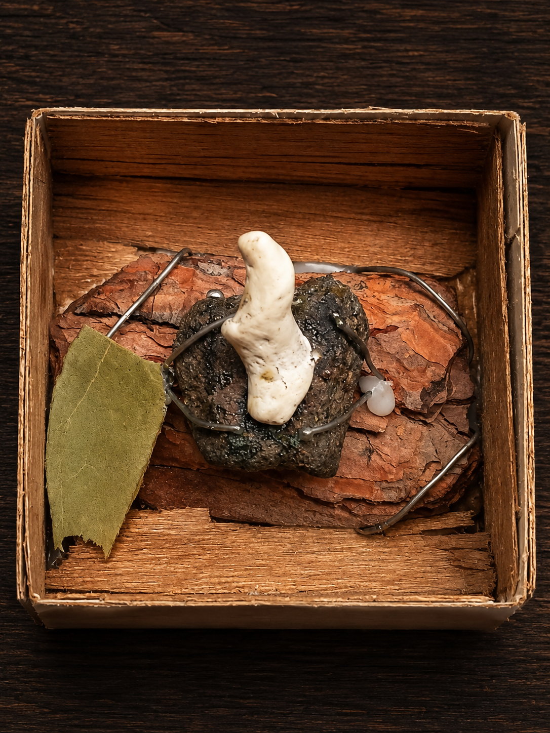 Rhino Horn
